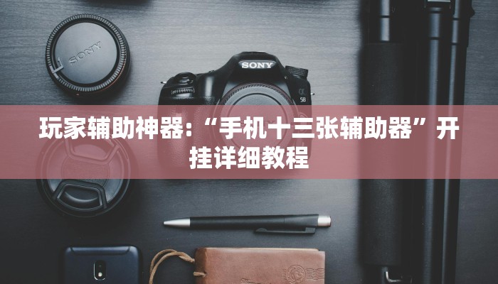 玩家辅助神器:“手机十三张辅助器”开挂详细教程