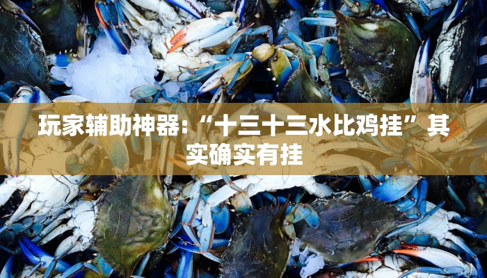 玩家辅助神器:“十三十三水比鸡挂”其实确实有挂