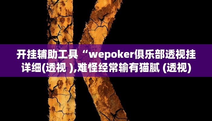 开挂辅助工具“wepoker俱乐部透视挂详细(透视 ),难怪经常输有猫腻 (透视)