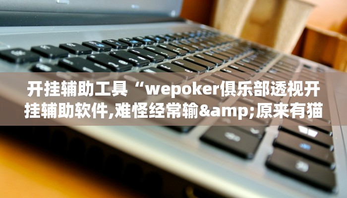 开挂辅助工具“wepoker俱乐部透视开挂辅助软件,难怪经常输&原来有猫腻