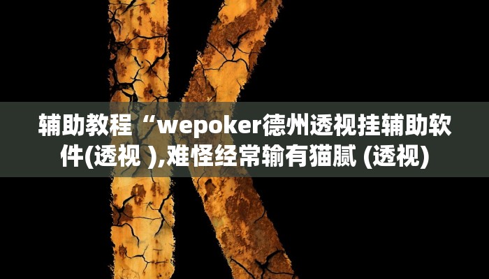 辅助教程“wepoker德州透视挂辅助软件(透视 ),难怪经常输有猫腻 (透视)