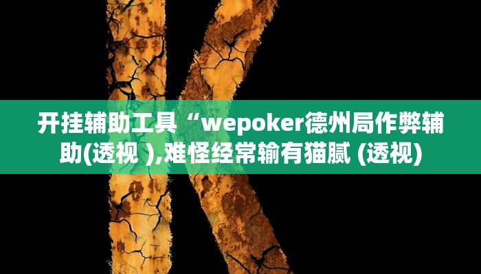 开挂辅助工具“wepoker德州局作弊辅助(透视 ),难怪经常输有猫腻 (透视)