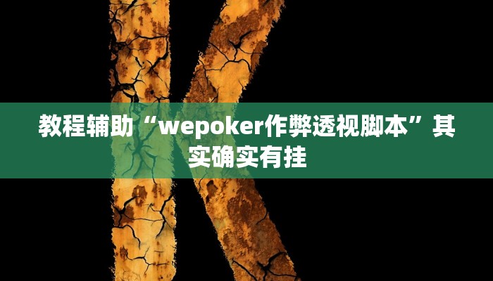 教程辅助“wepoker作弊透视脚本”其实确实有挂