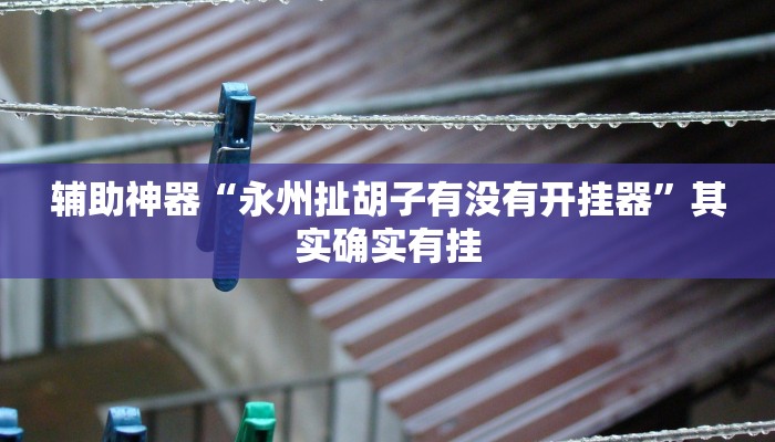 辅助神器“永州扯胡子有没有开挂器”其实确实有挂