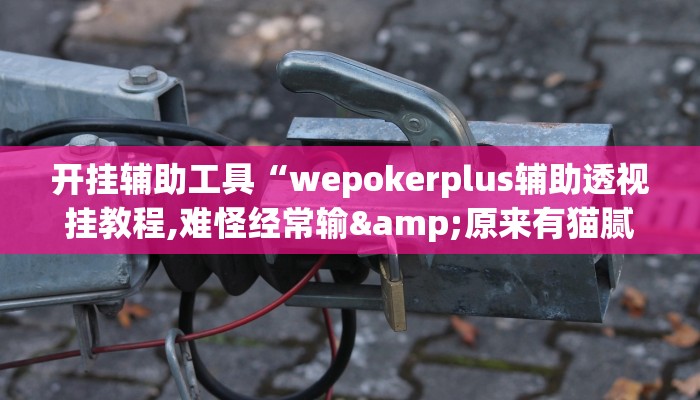 开挂辅助工具“wepokerplus辅助透视挂教程,难怪经常输&原来有猫腻