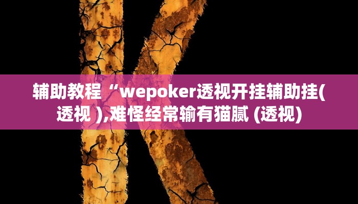 辅助教程“wepoker透视开挂辅助挂(透视 ),难怪经常输有猫腻 (透视)