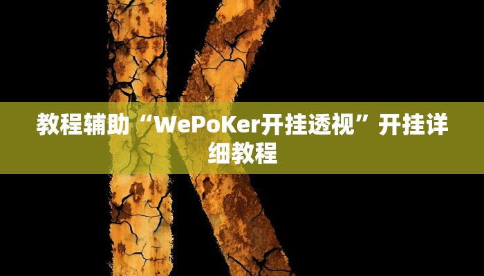 教程辅助“WePoKer开挂透视”开挂详细教程