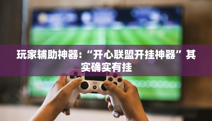 玩家辅助神器:“开心联盟开挂神器”其实确实有挂