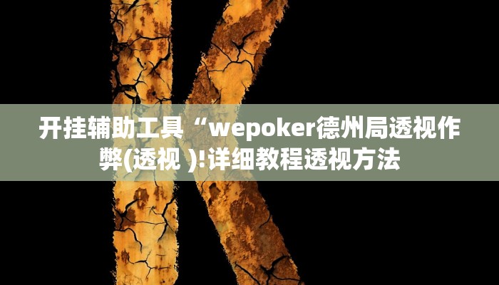 开挂辅助工具“wepoker德州局透视作弊(透视 )!详细教程透视方法