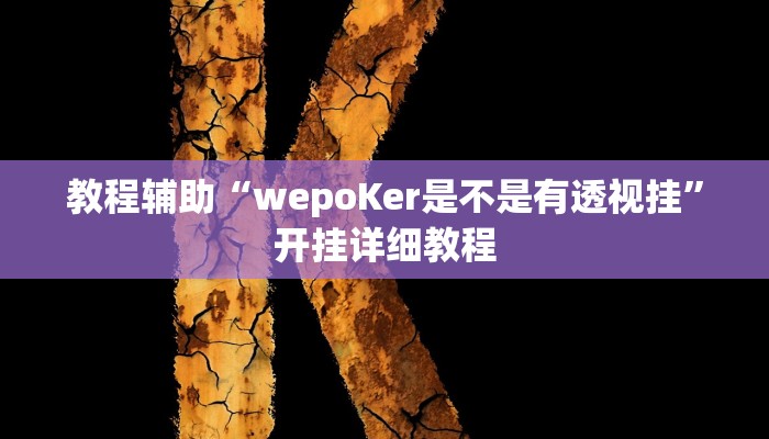 教程辅助“wepoKer是不是有透视挂”开挂详细教程