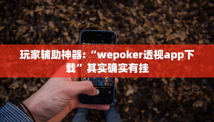 玩家辅助神器:“wepoker透视app下载”其实确实有挂