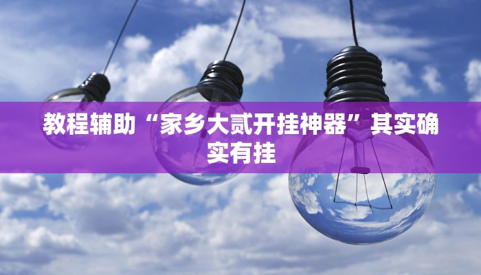 教程辅助“家乡大贰开挂神器”其实确实有挂
