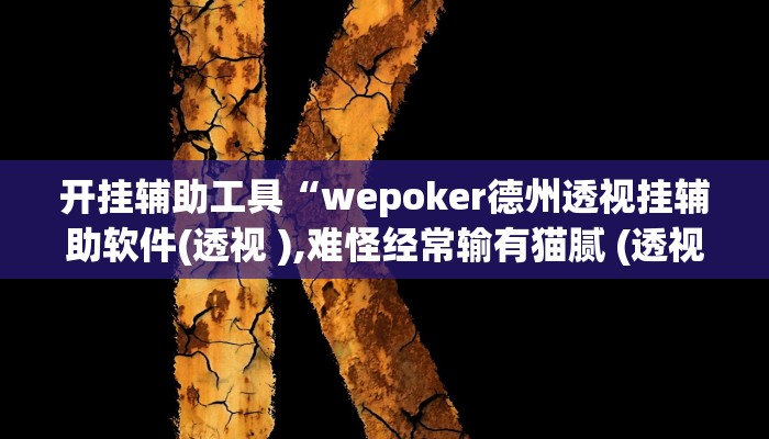 开挂辅助工具“wepoker德州透视挂辅助软件(透视 ),难怪经常输有猫腻 (透视)