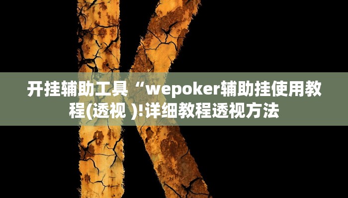 开挂辅助工具“wepoker辅助挂使用教程(透视 )!详细教程透视方法