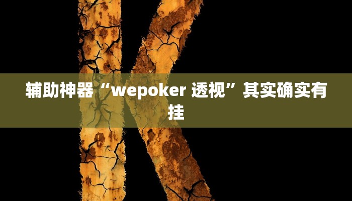 辅助神器“wepoker 透视”其实确实有挂