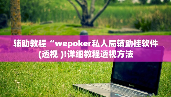 辅助教程“wepoker私人局辅助挂软件(透视 )!详细教程透视方法