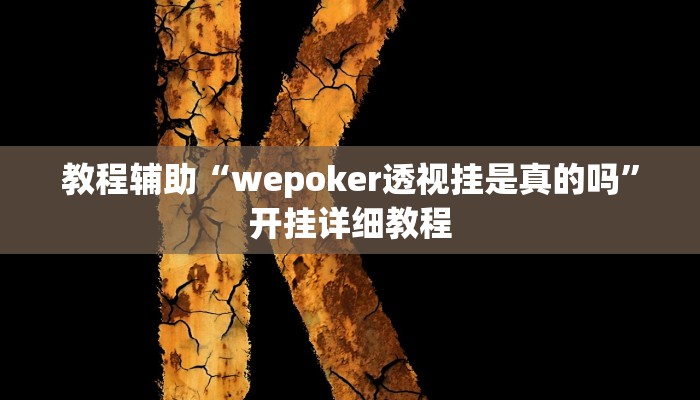 教程辅助“wepoker透视挂是真的吗”开挂详细教程
