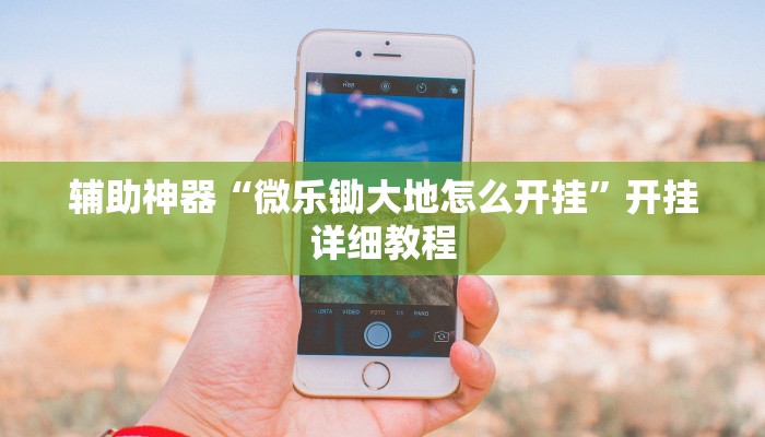 辅助神器“微乐锄大地怎么开挂”开挂详细教程