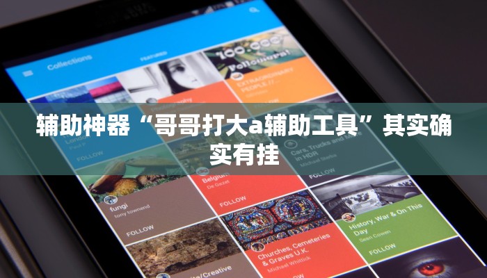 辅助神器“哥哥打大a辅助工具”其实确实有挂