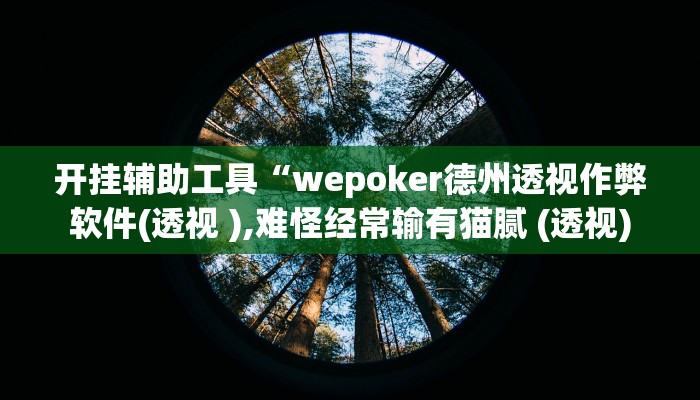 开挂辅助工具“wepoker德州透视作弊软件(透视 ),难怪经常输有猫腻 (透视)