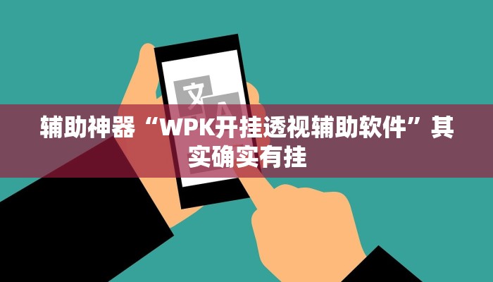 辅助神器“WPK开挂透视辅助软件”其实确实有挂