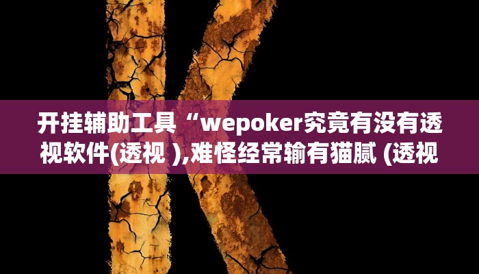 开挂辅助工具“wepoker究竟有没有透视软件(透视 ),难怪经常输有猫腻 (透视)