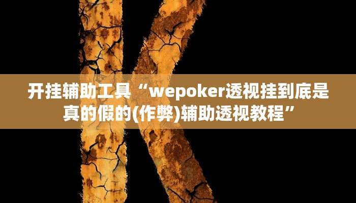 开挂辅助工具“wepoker透视挂到底是真的假的(作弊)辅助透视教程”