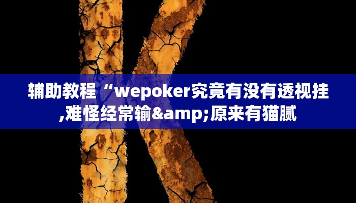 辅助教程“wepoker究竟有没有透视挂,难怪经常输&原来有猫腻