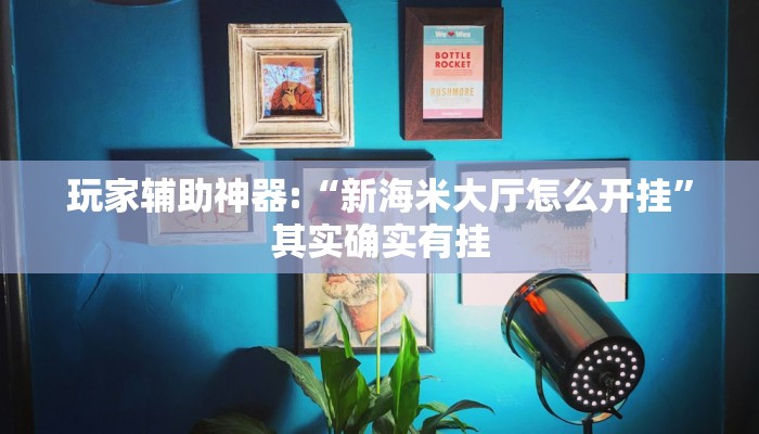 玩家辅助神器:“新海米大厅怎么开挂”其实确实有挂
