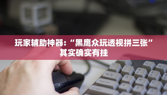 玩家辅助神器:“黑鹰众玩透视拼三张”其实确实有挂