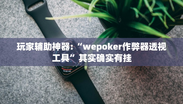 玩家辅助神器:“wepoker作弊器透视工具”其实确实有挂