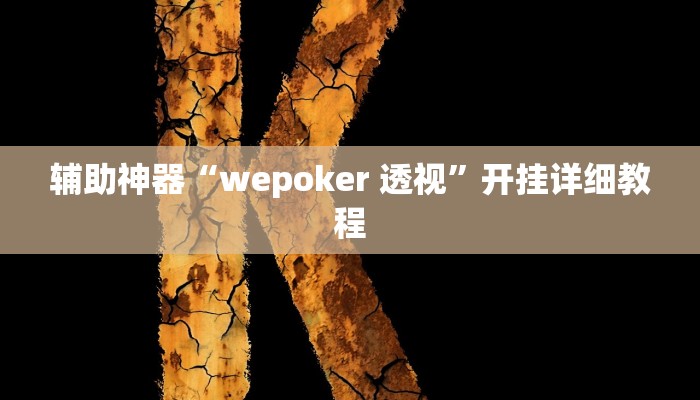 辅助神器“wepoker 透视”开挂详细教程