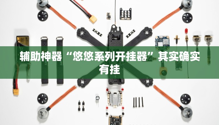 辅助神器“悠悠系列开挂器”其实确实有挂