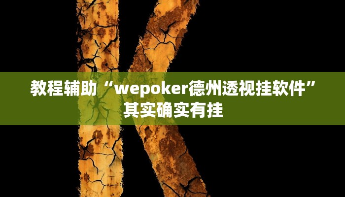 教程辅助“wepoker德州透视挂软件”其实确实有挂