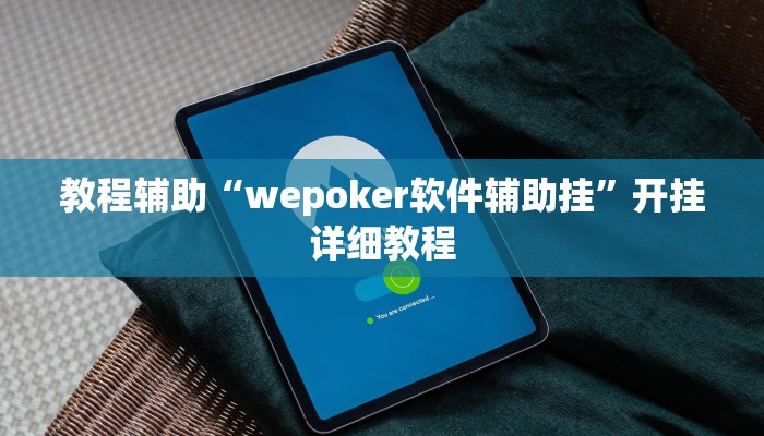 教程辅助“wepoker软件辅助挂”开挂详细教程