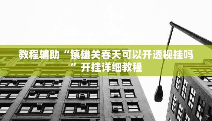 教程辅助“镇雄关春天可以开透视挂吗”开挂详细教程