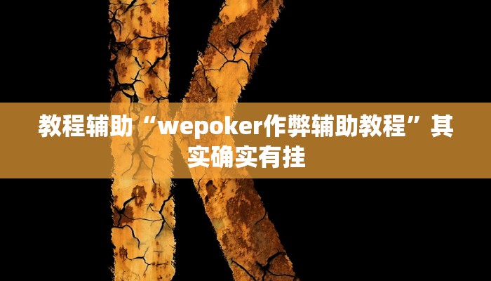 教程辅助“wepoker作弊辅助教程”其实确实有挂